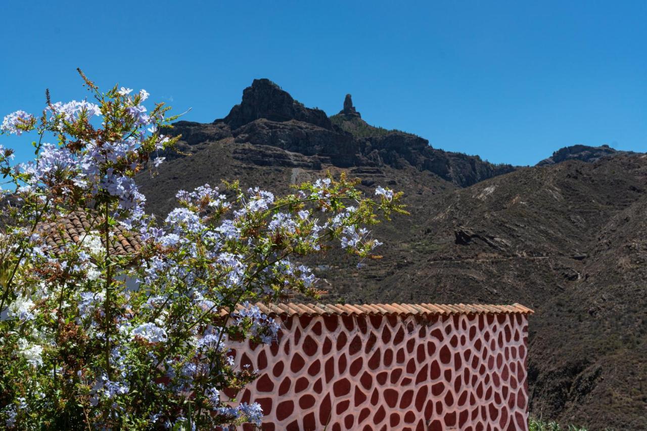 Rural Houses Serafin Casa Rural Serafin The Best Views تيخيدا المظهر الخارجي الصورة