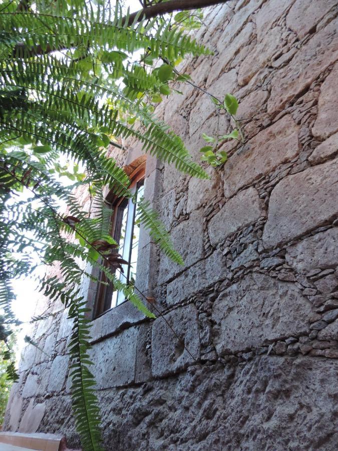 Rural Houses Serafin Casa Rural Serafin The Best Views تيخيدا المظهر الخارجي الصورة