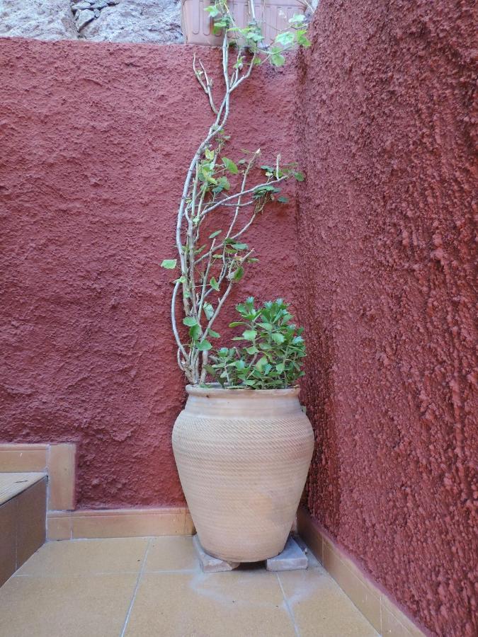 Rural Houses Serafin Casa Rural Serafin The Best Views تيخيدا المظهر الخارجي الصورة