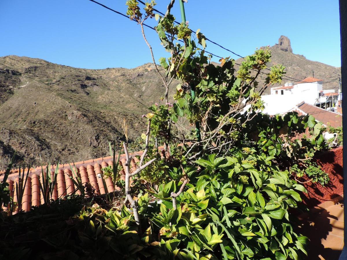 Rural Houses Serafin Casa Rural Serafin The Best Views تيخيدا المظهر الخارجي الصورة