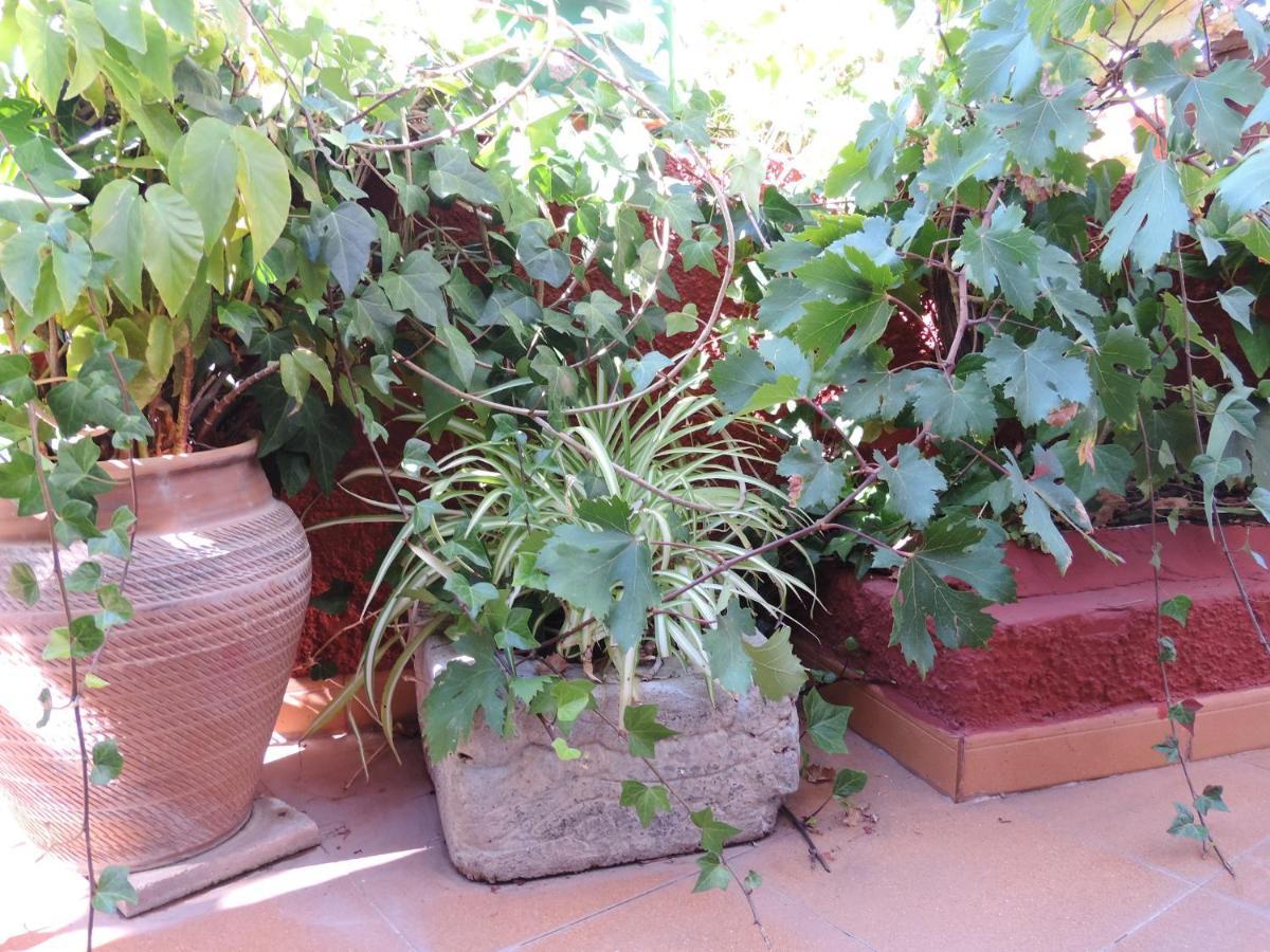 Rural Houses Serafin Casa Rural Serafin The Best Views تيخيدا المظهر الخارجي الصورة