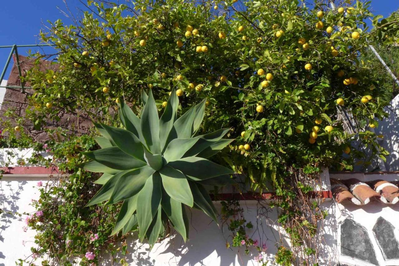 Rural Houses Serafin Casa Rural Serafin The Best Views تيخيدا المظهر الخارجي الصورة