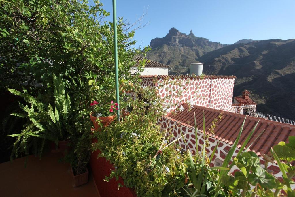 Rural Houses Serafin Casa Rural Serafin The Best Views تيخيدا الغرفة الصورة